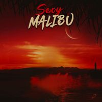 AVC - Sexy Malibú