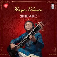 Shahid Parvez - Raga Dhani