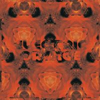 Electric Orange - XX