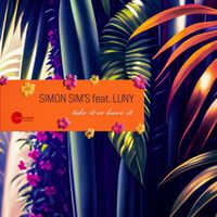 Simon Sim's feat. Luny - Take It or Leave It