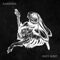 Planisphere - White Rabbit (Explicit)