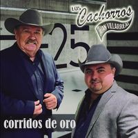 Los Cachorros De Juan Villarreal - Corridos de Oro