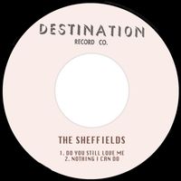 The Sheffields - Do You Still Love Me