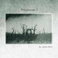 Raison D'être - Prospectus I (Sublime Edition)
