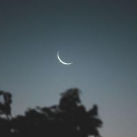 Sam Foster - This Night Sky