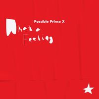 Possible Prince X - What a Feeling