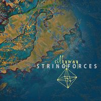 String Forces - Silky Way