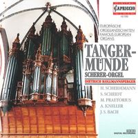 Dietrich Kollmannsperger - Tangermunde