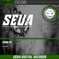 Dani-K - Survive