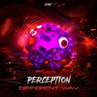 Perception - Different Way