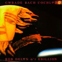 Bob Delyn A'r Ebillion - Gwbade Bach Cochlyd