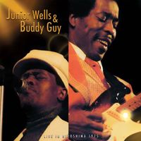 Junior Wells & Buddy Guy - Stop Breakin' Down (Live)