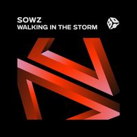 SOWZ - Walking In The Storm (Extended Mix)