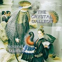 Sound Animal - The Crystal Galleon