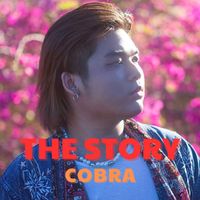 Cobra - The Story
