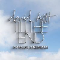David Kitt - Till The End : X-Press 2 Remixes