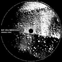 Noisesculptor - Abnormal Forms
