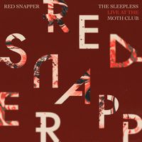 Red Snapper - The Sleepless (Live at The Moth Club)