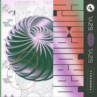 5ZYL - Perplexity