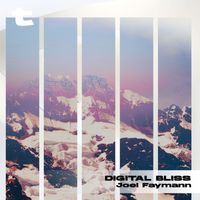 Joel Faymann - Digital Bliss