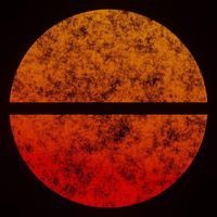Zane Alexander - Polychrome