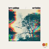 Larry Goldings - Earthshine