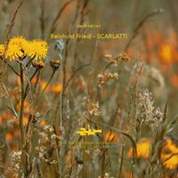 Zeitkratzer - Friedl: Scarlatti