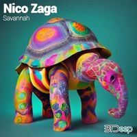 Nico Zaga - Savannah