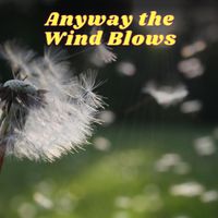 The Sonics - Anyway the Wind Blows