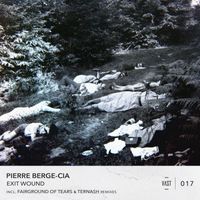 Pierre Berge-Cia - Exit Wound