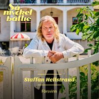 Staffan Hellstrand - Försvinn