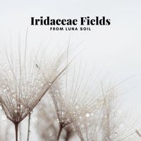 Iridaceae Fields - From Luna Soil