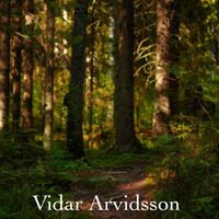 Vidar Arvidsson - Viva La Vida