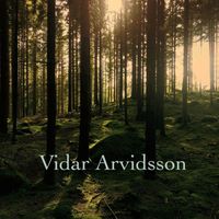 Vidar Arvidsson - Waiting Again