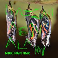 Hassan Abou Alam - Ice (Nikki Nair Remix)