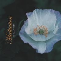 Vishal Casey - Meditation