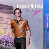 Sean Allen Fenn - Diamond In My Pocket (DJ Donut Hole remix) (Indie-Dance-Retro-House-Breakbeat Remix)
