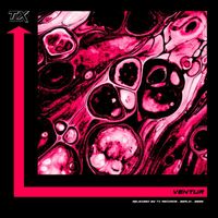 Ventur - Set in Motion
