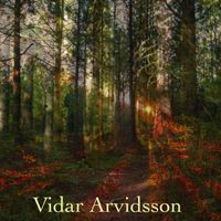 Vidar Arvidsson - It's Beginning to Look a Lot Like Christmas