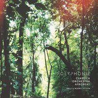 Classica Orchestra Afrobeat - Polyphonie