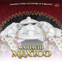 Mariachi Mexico - Amaneci Otra Vez Entre Tus Brazos
