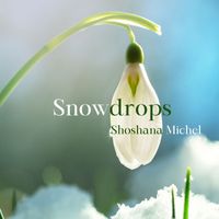 Shoshana Michel - Snowdrops