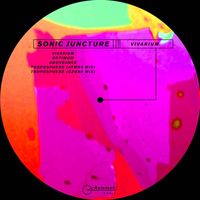 Sonic Juncture - Vivarium EP