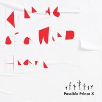 Possible Prince X - Killing of a Wild Heart