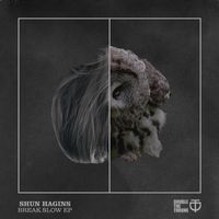 Shun Hagins - Break Slow EP