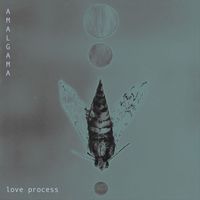 Amalgama - Love Process