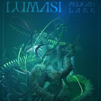 Lumasi - Pelican Lake