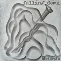 Birdbrain - Falling Down