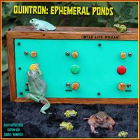 Quintron - Ephemeral Ponds