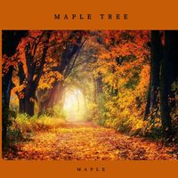 Maple - Maple Tree
